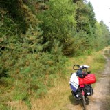 0309F 41 Heide bei Eschede